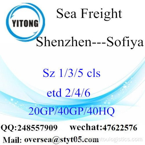 Shenzhen Port Sea Freight Shipping To Sofiya